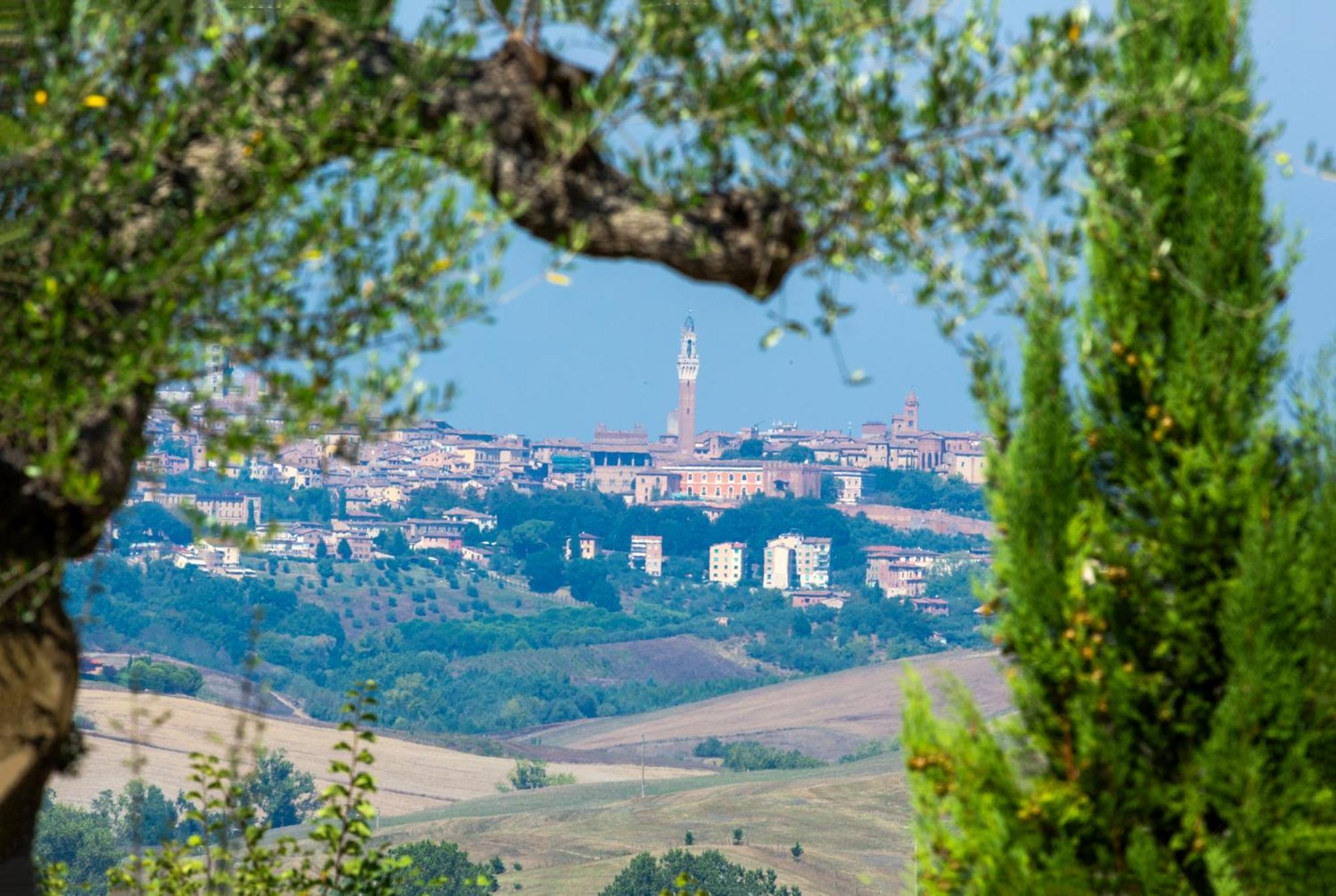 Casavacanze Vesta Isola d'Arbia Екстериор снимка