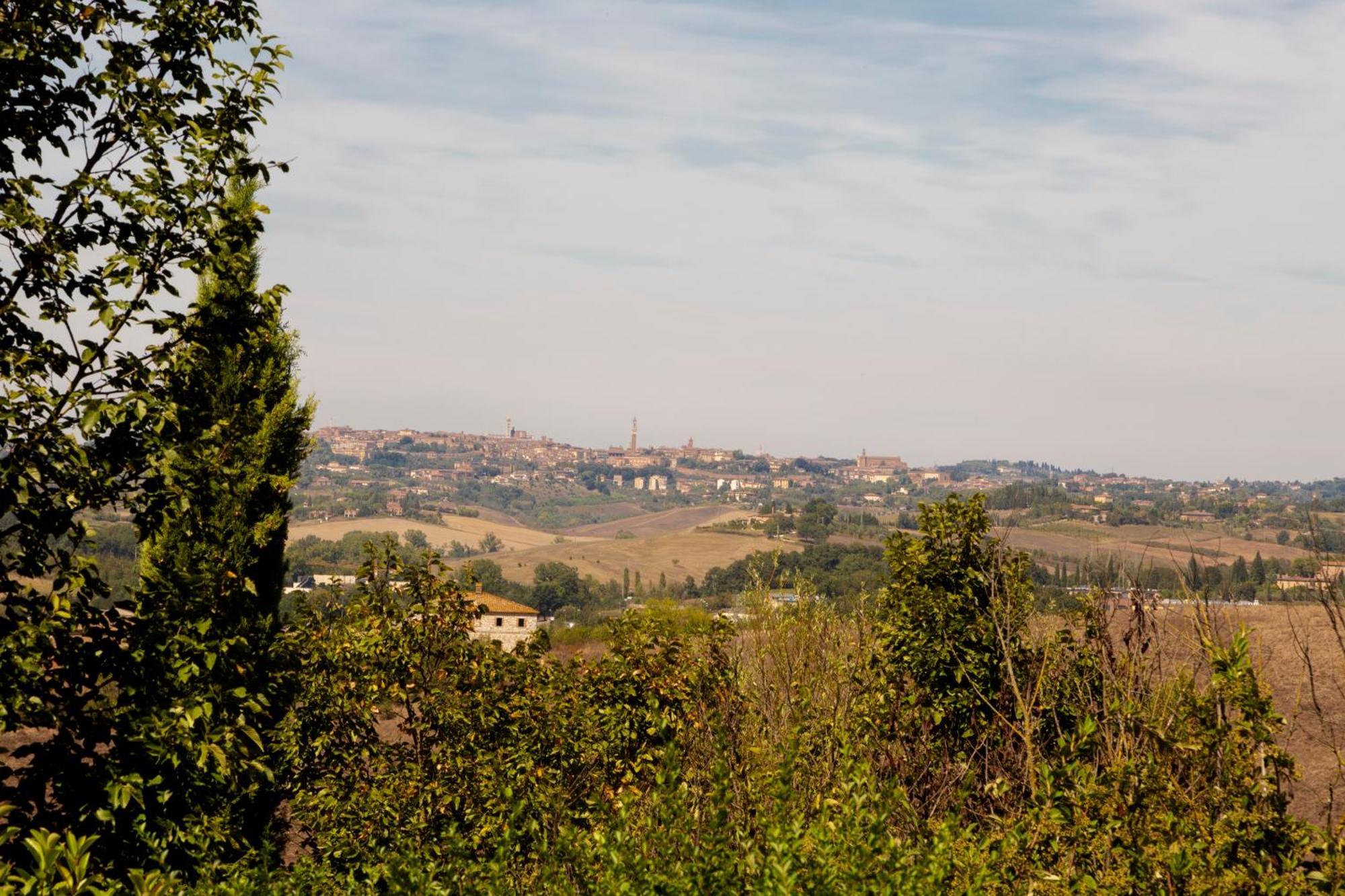Casavacanze Vesta Isola d'Arbia Екстериор снимка